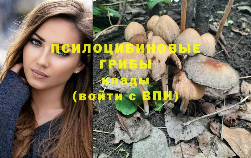 Галлюциногенные грибы Magic Shrooms  Электроугли 